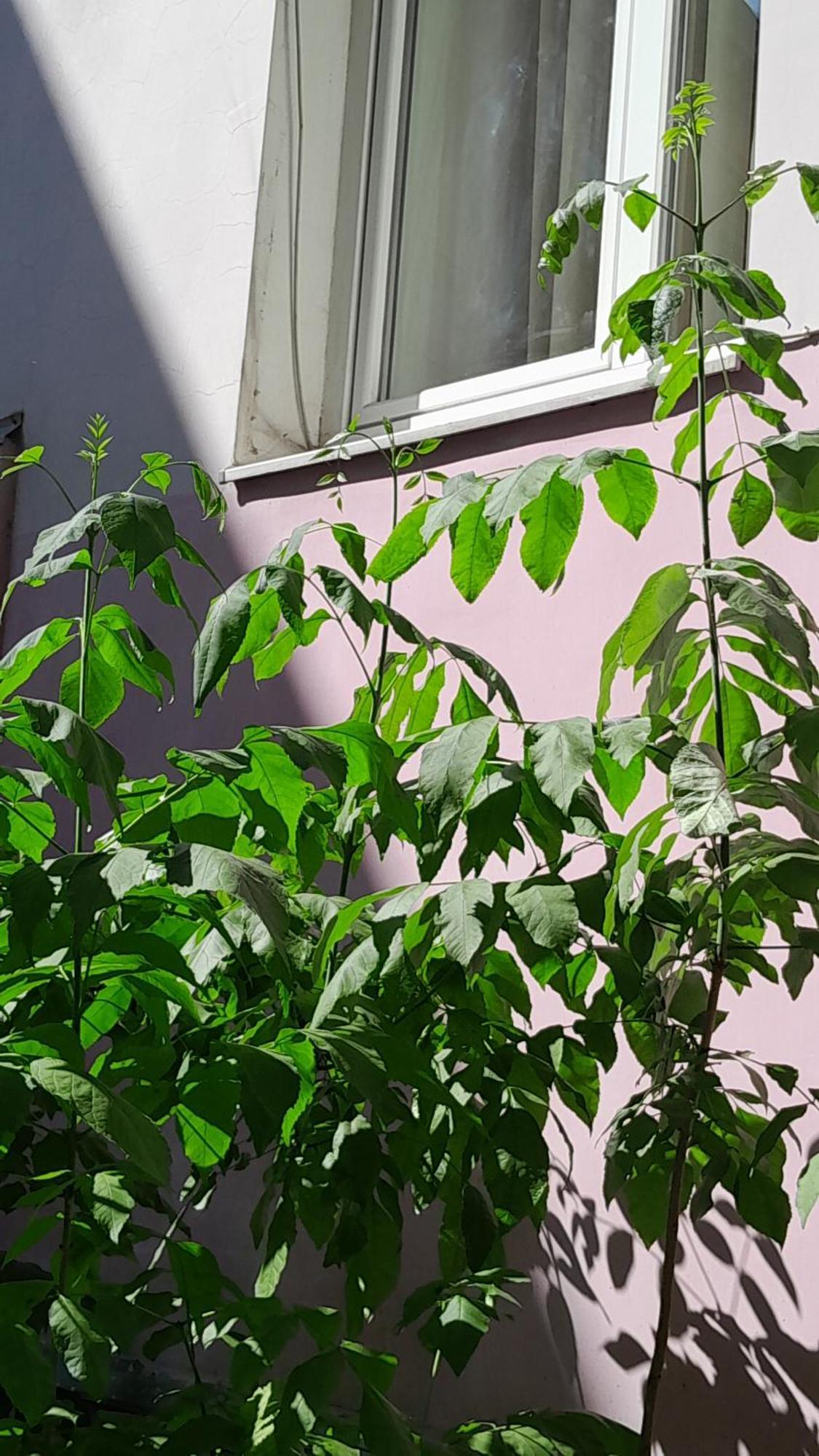 לבוב 1Ком Апартаменты,Парковка,Улхорватская מראה חיצוני תמונה